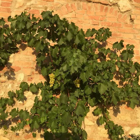 Podere Mieli Costalpino